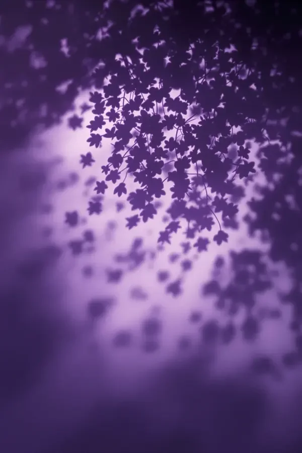 花影重重